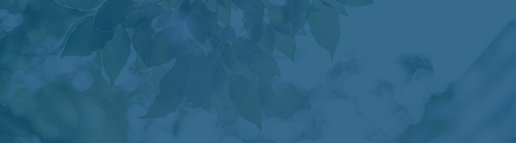 実績を持つ名医の安心安全な感染予防について