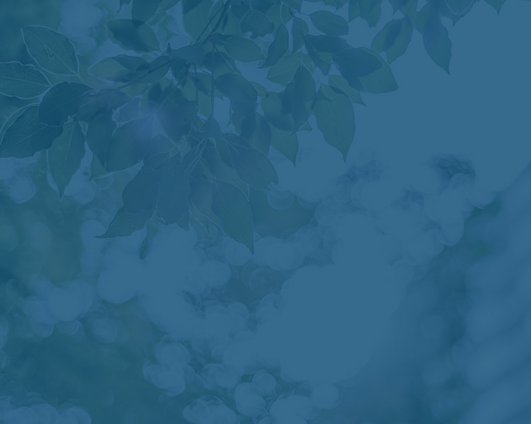 実績を持つ名医の安心安全な感染予防について